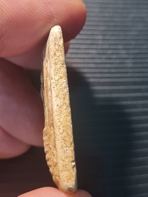 สมเด็จวัดโพธิ์เกรียบ 