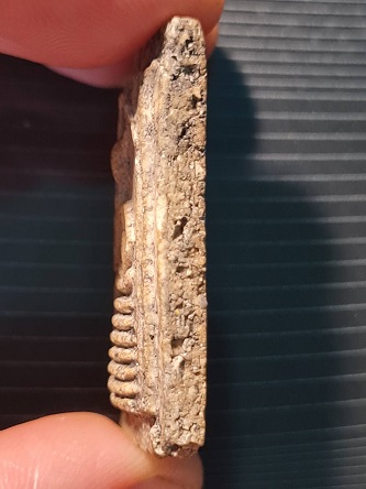 สมเด็จวัดโพธิ์เกรียบ อกร่อง