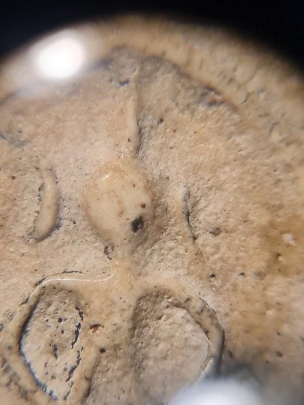 สมเด็จวัดโพธิ์เกรียบ