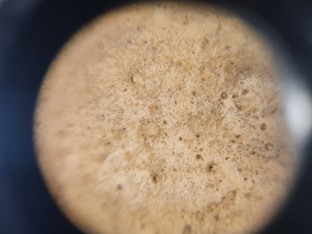 สมเด็จบางขุนพรหม (กรุวัดอินทร์วิหาร) พิมพ์พระรอด 