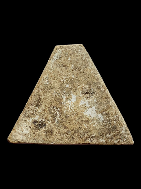 พระสมเด็จ พิมพ์พระสังกัจจายน์ หลวงปู่นาค 