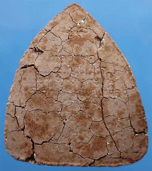 พระปิดตารุ่นแรก หลวงพ่อมุม วัดปราสาทเยอร์ ปี ๑๗*42