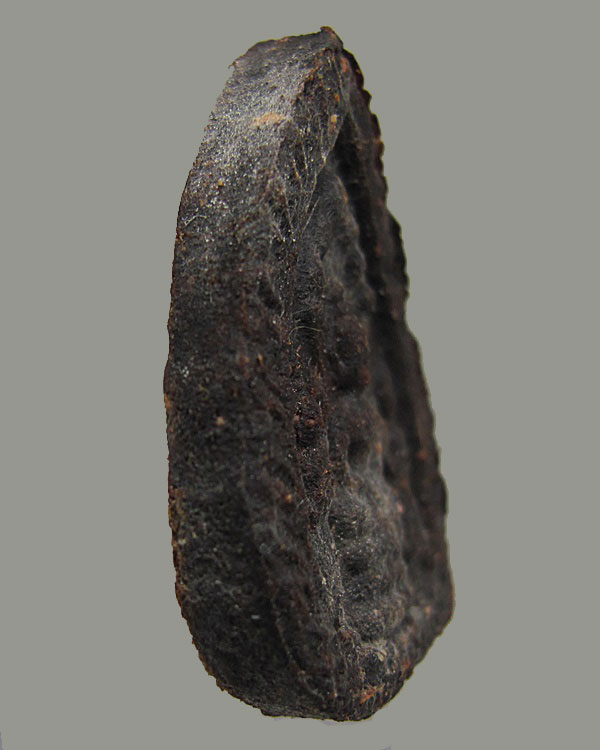 พิเศษ เกสา ..พระนาคปรก หลวงปู่แก้ว วัดละหารไร่ จ.ระยอง พิมพ์พระตรีกาย เนื้อผงว่าน ปี 2519 บัตรรับรอง