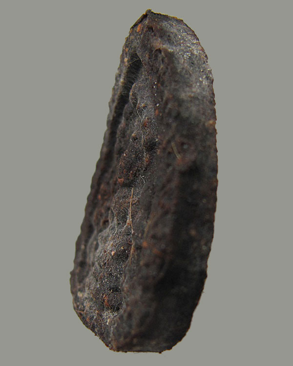 พิเศษ เกสา ..พระนาคปรก หลวงปู่แก้ว วัดละหารไร่ จ.ระยอง พิมพ์พระตรีกาย เนื้อผงว่าน ปี 2519 บัตรรับรอง