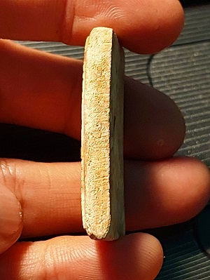 พระสมเด็จปรกโพธิ์ หลวงปู่หิน วัดระฆัง