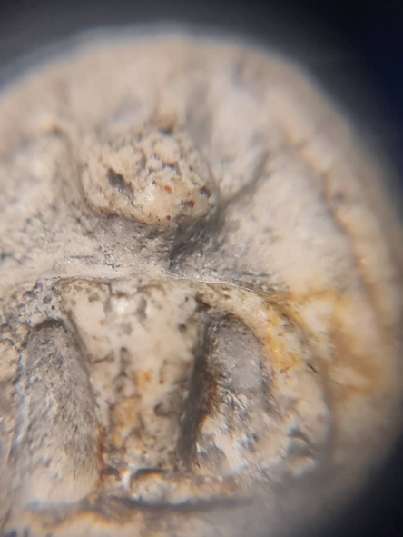 พระสมเด็จหลวงปู่อ้น วัดบางจาก