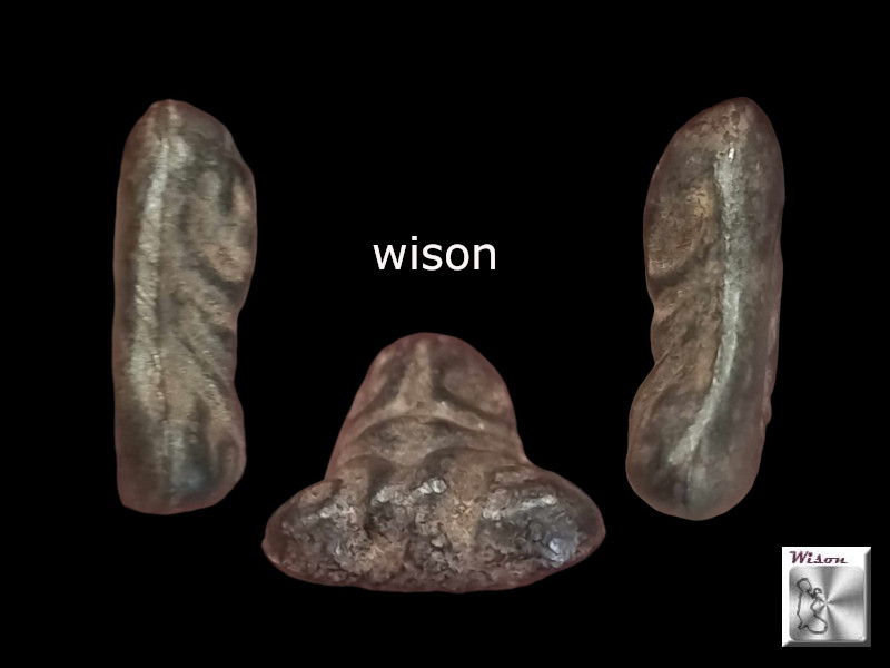 พระปิดตาพิมพ์นะหัวเข่า หน้าเดียว วัดหนัง ธนบุรี