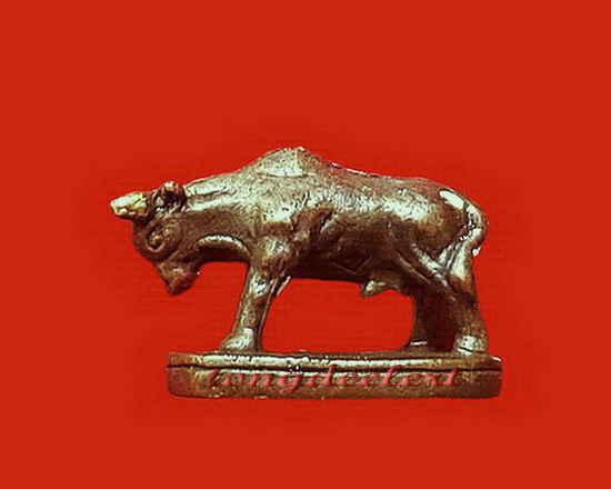 วัวธนูหลวงพ่อแช่ม วัดดอนยายหอม จ.นครปฐม เนื้อทองผสม สวยมากค่ะ