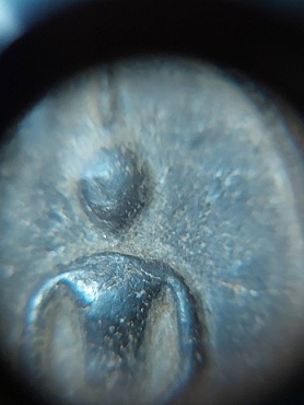 สมเด็จดำ หลวงพ่อกวย