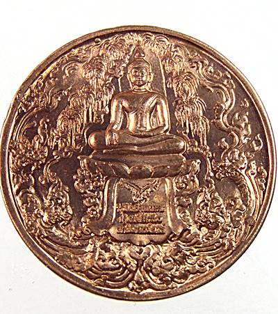 เหรียญองค์วิรูปักโขศรีสุทโธนาคราช หลังพระพุทธปางมารวิชัย พระแห่งโชคลาภ สมบัติ พญานาคราช
