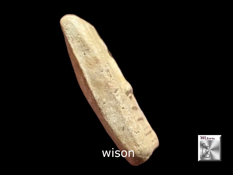 สมเด็จหลวงปู่อ้น วัดบางจาก จ.สมุทรสงคราม 