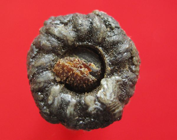 ตะกรุดอจินตัยมหาระงับดับภัยพิบัติ หลวงปู่ลมัย(ละมัย) ถักเชือก ลงรัก ขนาด 3 นิ้ว . 