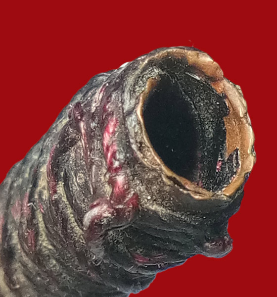 ตะกรุดสาริกา ลป.ทอง วัดธาตุสว่างโนนยาง ต.กุดสระ อ.เมือง จ.อุดรธานี