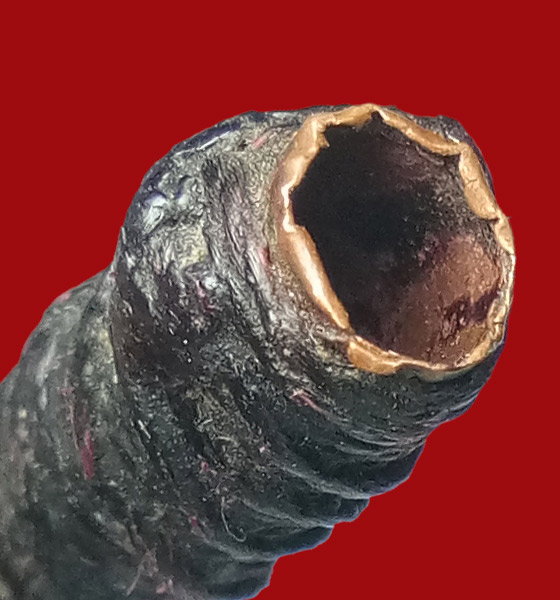 ตะกรุดสาริกา ลป.ทอง วัดธาตุสว่างโนนยาง ต.กุดสระ อ.เมือง จ.อุดรธานี