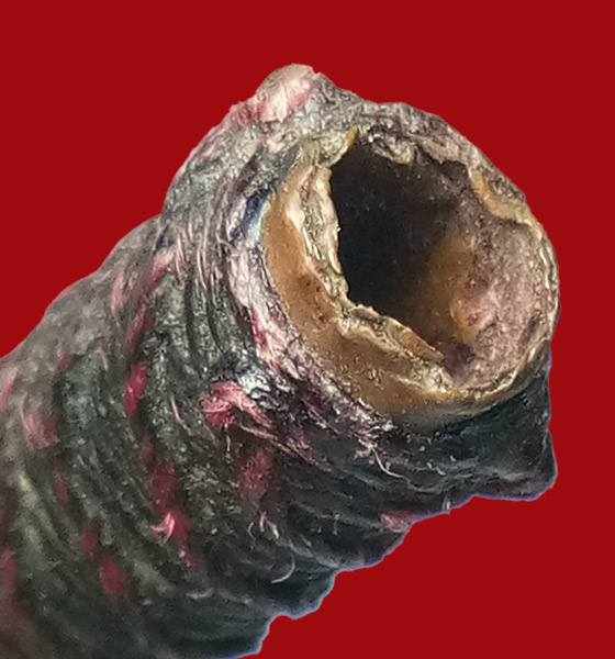 ตะกรุดสาริกา ลป.ทอง วัดธาตุสว่างโนนยาง ต.กุดสระ อ.เมือง จ.อุดรธานี