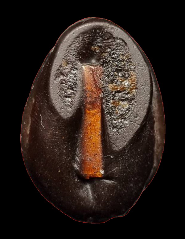 เบี้ยแก้ หลวงพ่อเกษม เขมโก สุสานไตรลักษณ์ รุ่นสุริยุปราคา พ.ศ.2538 รุ่นแรกและรุ่นเดียว (1)