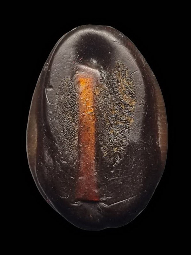 เบี้ยแก้ หลวงพ่อเกษม เขมโก สุสานไตรลักษณ์ รุ่นสุริยุปราคา พ.ศ.2538 รุ่นแรกและรุ่นเดียว (3)