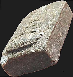 พระของขวัญ วัดมหาธาตุ กทม. ปี2506 เนื้อว่าน อาจารย์ทิม วัดช้างให้ ลป.โต๊ะ วัดประดู่ฯ ร่วมเสก