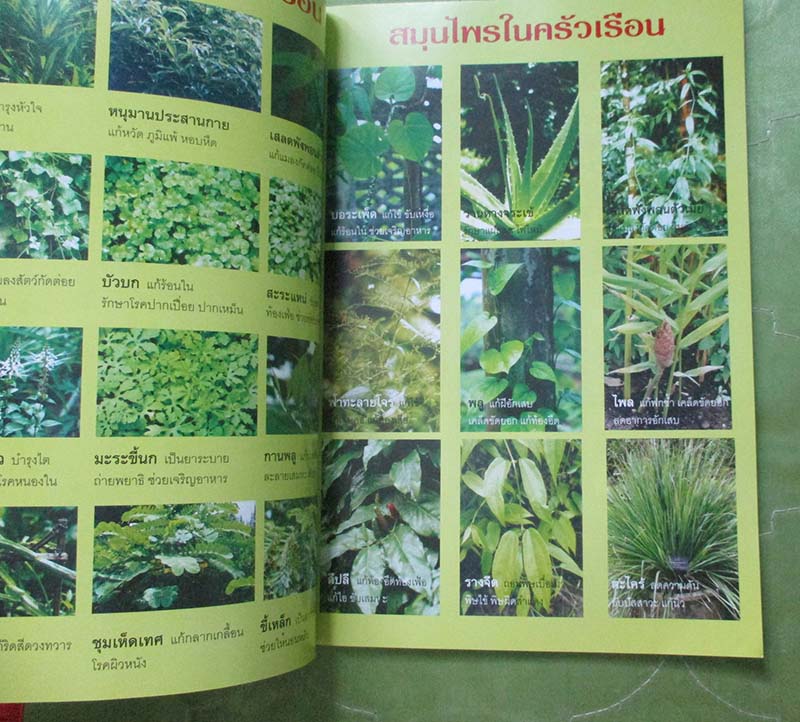 หนังสือ ปรุงยาสมุนไพรไว้ใช้เอง