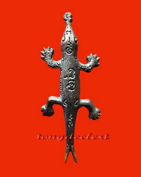 พญาจิ้งจกหลวงปู่หลิว ออกวัดหนองอ้อ สวยมากค่ะ