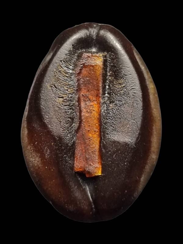 หลวงพ่อเกษม เขมโก สุสานไตรลักษณ์ จ.ลำปาง รุ่นสุริยุปราคา ปี 2538 ( ตะกรุดเงิน ) 