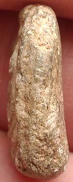 *พิมพ์รัศมี เนื้อผง พระครูใบฎีกาเกลี้ยง วัดสุทัศน์ฯ*