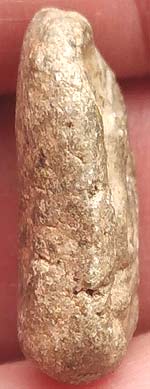 *พิมพ์รัศมี เนื้อผง พระครูใบฎีกาเกลี้ยง วัดสุทัศน์ฯ*