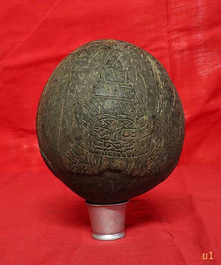 กะลามหาอุด แกะราหูอมจันทร์ ไม่มีตา ลูกใหญ่