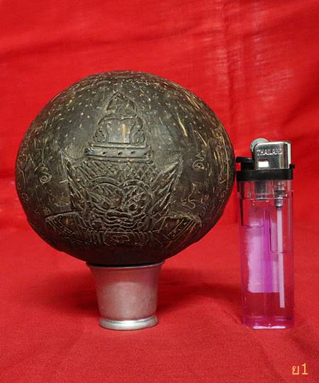 กะลามหาอุด แกะราหูอมจันทร์ ไม่มีตา ลูกใหญ่