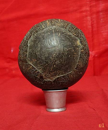 กะลามหาอุด แกะราหูอมจันทร์ ไม่มีตา ลูกใหญ่