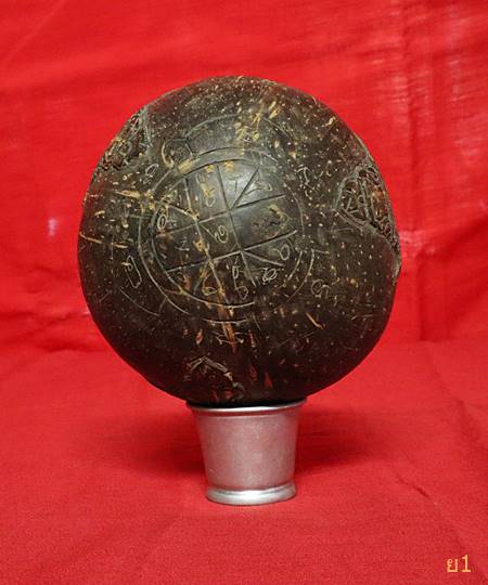 กะลามหาอุด แกะราหูอมจันทร์ ไม่มีตา ลูกใหญ่