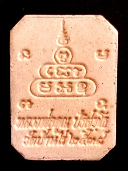 หลวงพ่อคูณขี่หมู รุ่นคูณทอง หมูทอง เคาะเดียว