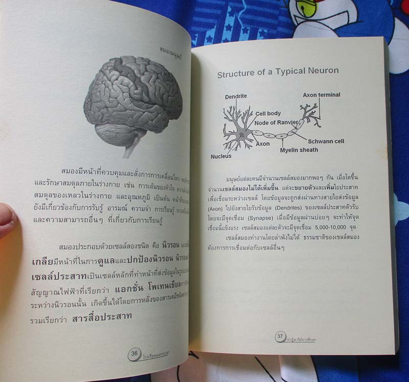 หนังสือ โรงเรียนนอกกะลา