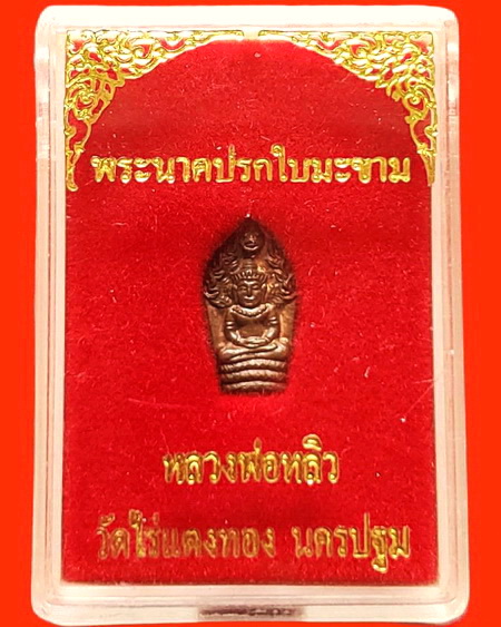 พระนาคปรกใบมะขาม หลวงปู่หลิว วัดไร่แตงทอง รุ่นแรก ปี 2535 สวยมากค่ะ