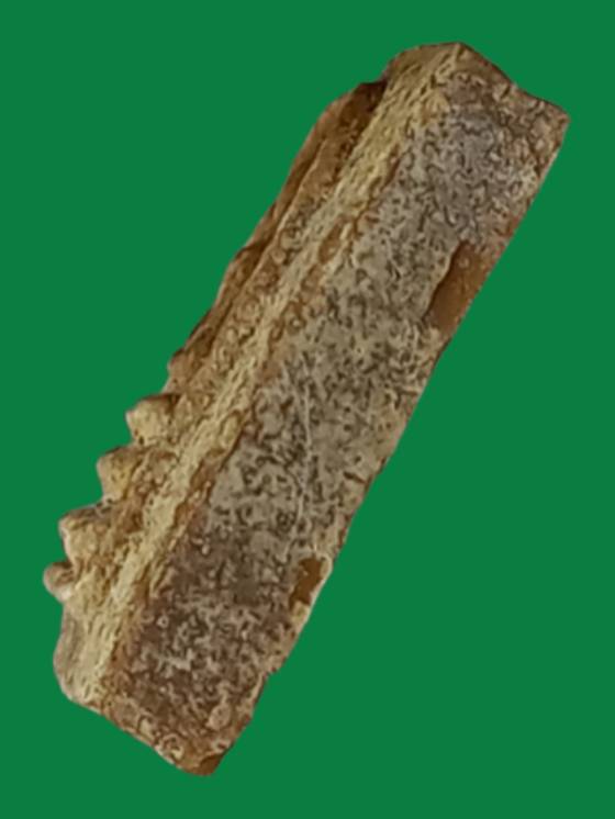 พระสมเด็จคะแนนหลังยันต์ มิ วัดพระปรางค์ ปี ๒๕๑๕ เนื้อผงน้ำมัน