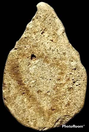 *พิมพ์กลีบบัว เนื้อผง พระครูใบฎีกาเกลี้ยง วัดสุทัศน์ฯ กทม.*