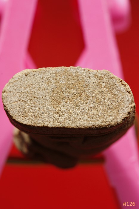 เสือจิ๊บ หลวงพ่อปาน 100 ปี วัดสว่างอารมณ์ ( เนื้อผง )