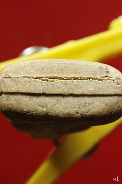 พระปิดตา วัดดาวดึงษ์ ปี36