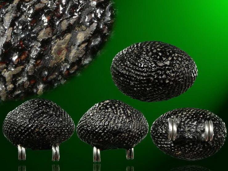 บัตรรับประกันพระแท้