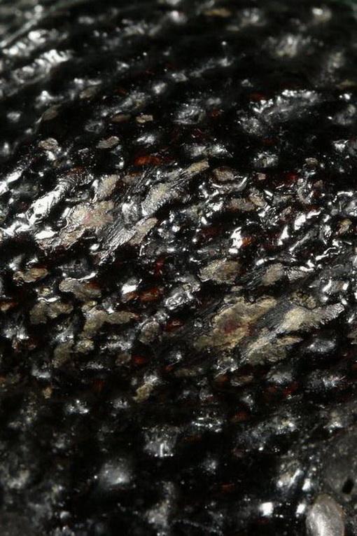 เบี้ยแก้เทโรหลวงปู่เพิ่ม