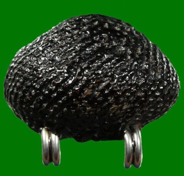 เบี้ยแก้เทโรหลวงปู่เพิ่ม