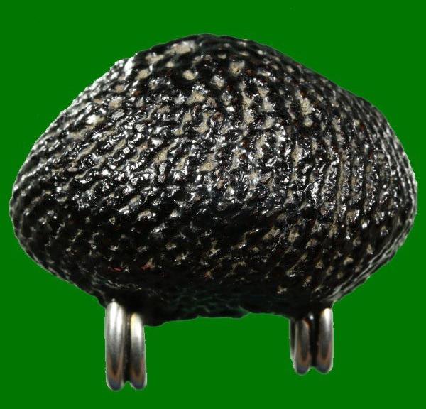 เบี้ยแก้เทโรหลวงปู่เพิ่ม