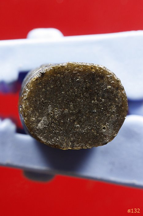 เสือเนื้อเรซิ่น