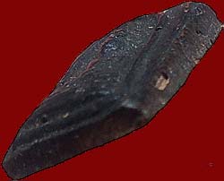 *พิมพ์คะแนนจิ๋ว ผงใบลาน หลวงพ่อวงษ์ วัดทุ่งผักกูด นครปฐม*