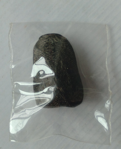 พระคงหลวงพ่อยงยุทธ วัดเขาไม้แดง จ.ชลบุรี