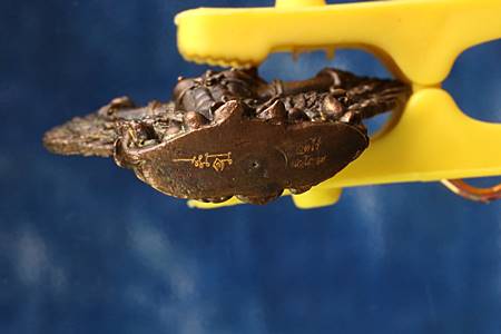 พญาครุฑเพชรกลับ รุ่น 2 หลวงพ่อผาด วัดไร่ จ.อ่างทอง เนื้อนวโลหะ ปี 2552