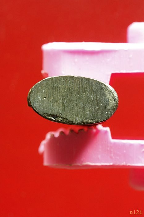 เสือจิ๋ว หลวงพ่อสมชาย วัดปริวาส เนื้อนวะ