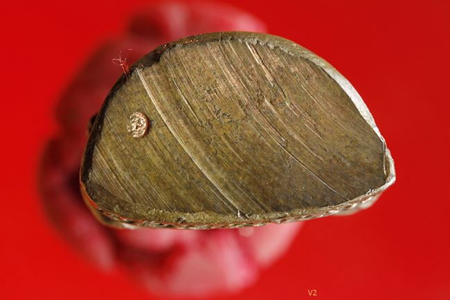 รูปเหมือนปั๊มรุ่นแรกเทพประทานพร หลวงพ่อคูณ เนื้อนวโลหะ ปี36 คอไม่ราน กล่องเดิม 