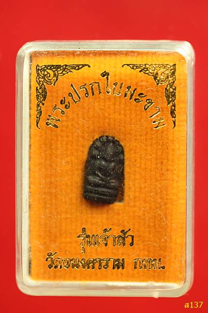 พระปรกใบมะขาม วัดอนงคาราม รุ่นเจ้าสัว พร้อมกล่องเดิม