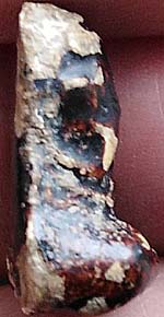 *ปิดตามหาอุตม์ ครึ่งซีก เนื้อผงจุ่มรัก หลวงปู่ทับ วัดทอง กทม.*